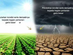 Perubahan kondisi serta dampaknya  kepada bagian pertanian garis besar