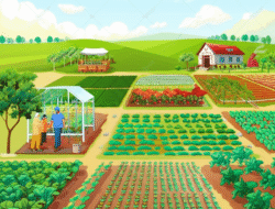 Usaha pengembangan bagian pertanian berkepanjangan