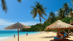 Efek endemi  kepada bagian pariwisata serta strategi penyembuhan