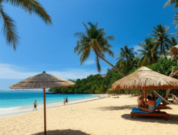 Efek endemi  kepada bagian pariwisata serta strategi penyembuhan