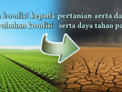 Efek perubahan kondisi  kepada pertanian serta daya tahan pangan