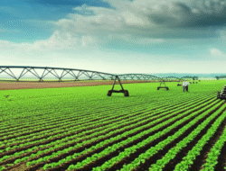 Usaha pengembangan bagian pertanian berkepanjangan