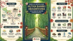 Panduan Menjelajahi Hutan Bambu Arashiyama Yang Sangat Ikonik Di Kota Kyoto